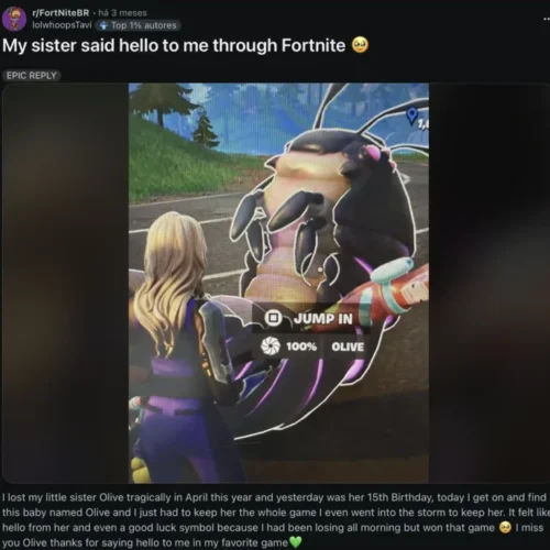 Fortnite presta homenagem à irmã de jogador seguindo relato emocionante nas redes sociais