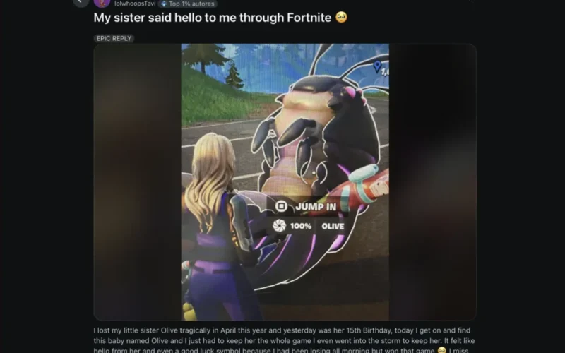 Fortnite presta homenagem à irmã de jogador seguindo relato emocionante nas redes sociais